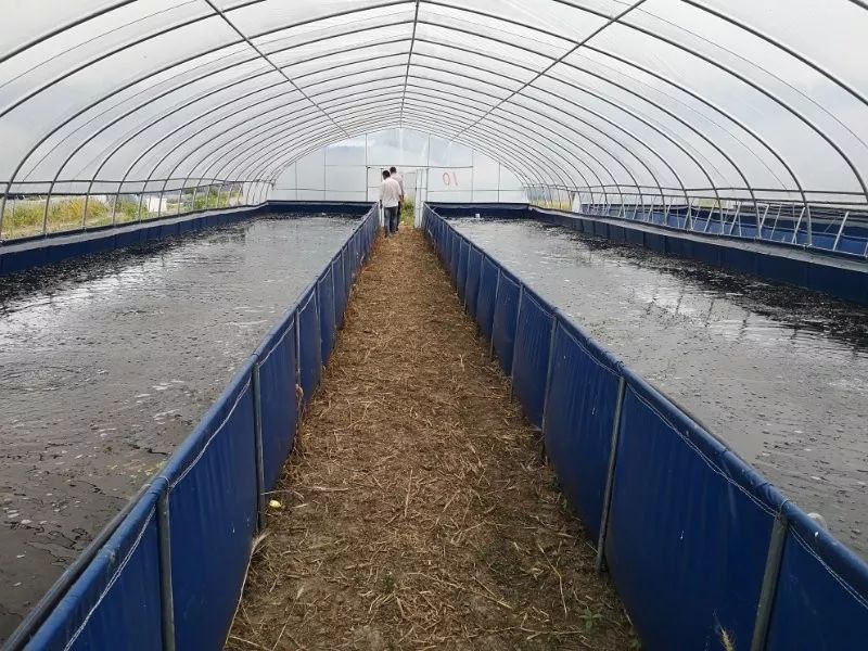 创赢未来科技创业项目大赛,创在未来创业大赛