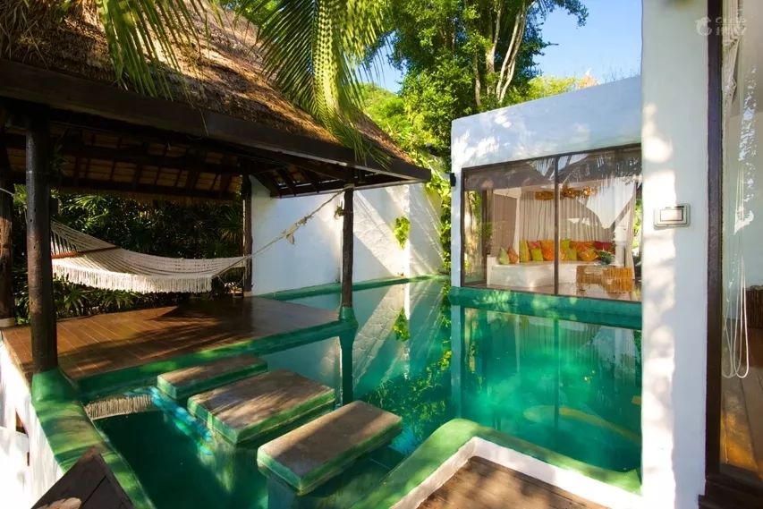 全球最受欢迎树屋酒店｜夜晚坠入大自然的梦乡，清晨在森林的枝桠间醒来