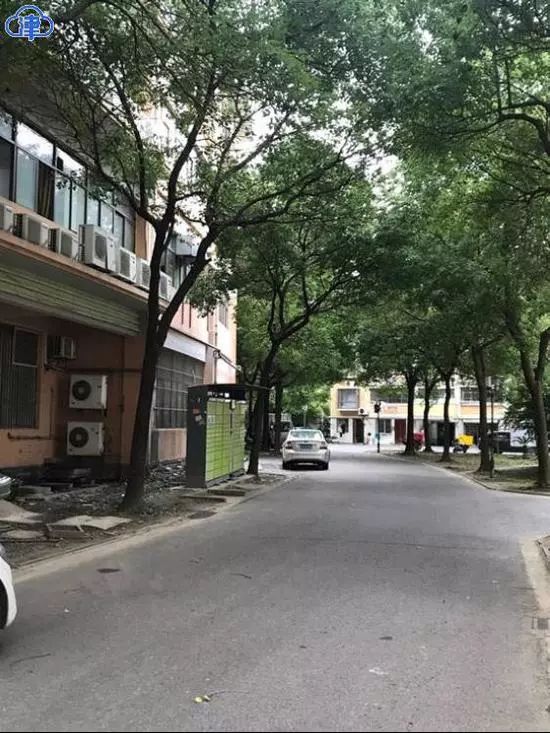 20岁少女被杀害案抛尸天台,女子遭杀害被肢解证据被清理