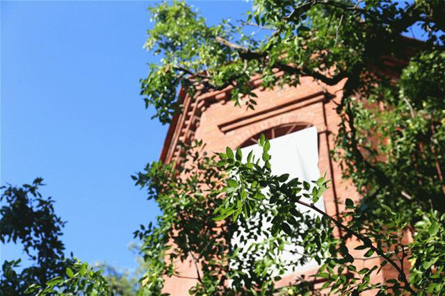 厦门2天1夜美食,厦门两天美食攻略