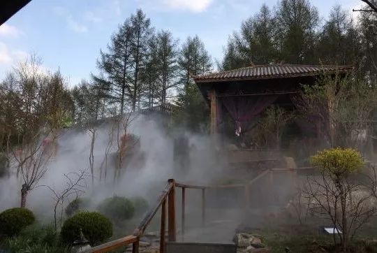 生活频道的养生视频,生活频道黄山