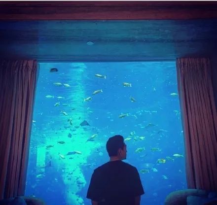 花钱减压|不在微博上买房都追不上现男友的预告了,韩商言你太上头