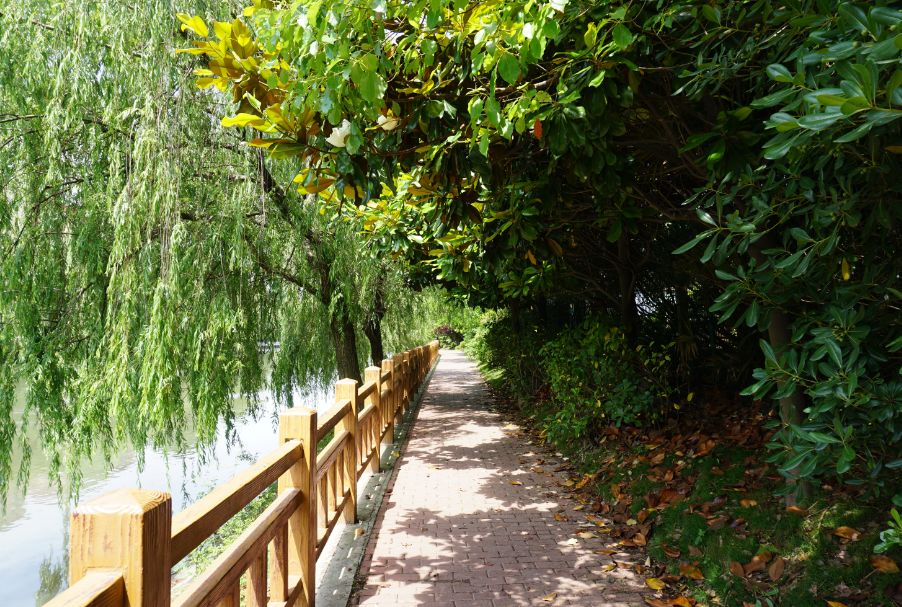 “两眼么擦黑”！还有比夜间春申塘绿地更适合拍鬼片的地方吗？