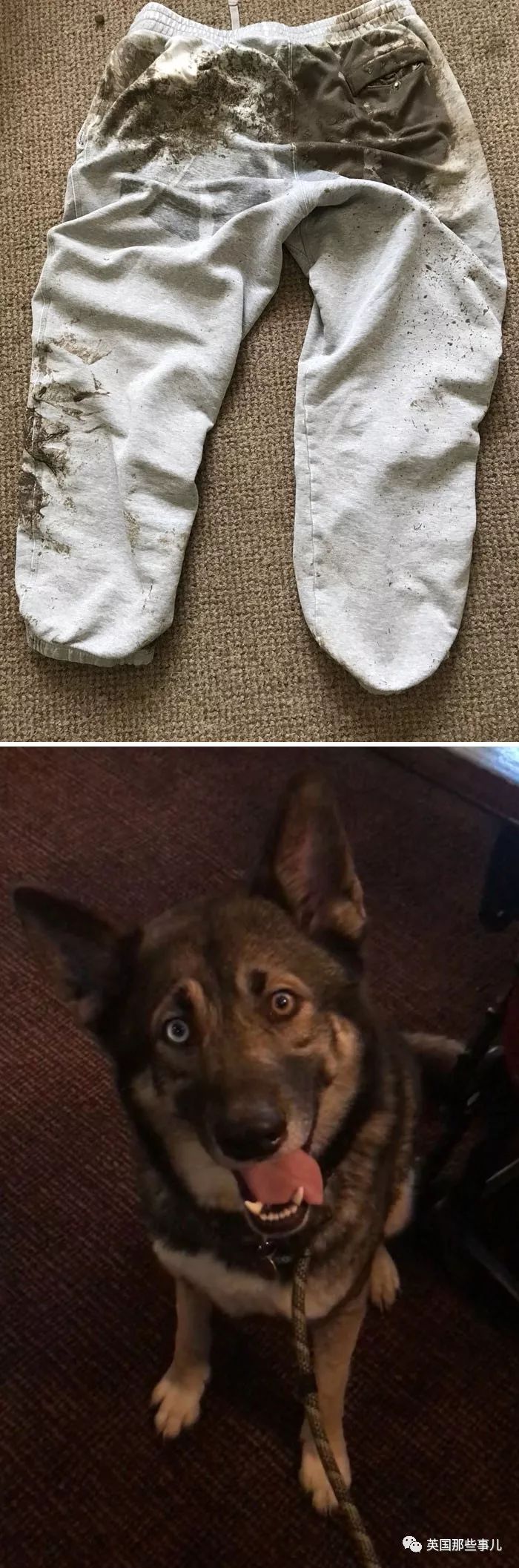 鐖嗙瑧娌欓洉鏃ュ父鍊掗湁鍚堥泦,鏃ュ父鍊掗湁鎼炵瑧娌欓洉瑙嗛