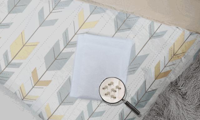 床上放个它，让螨虫绝望，让螨虫自杀，比太阳暴晒强1万倍