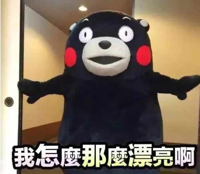 有一个逗逼同事是什么体验,有一个奇葩老师是怎样的体验