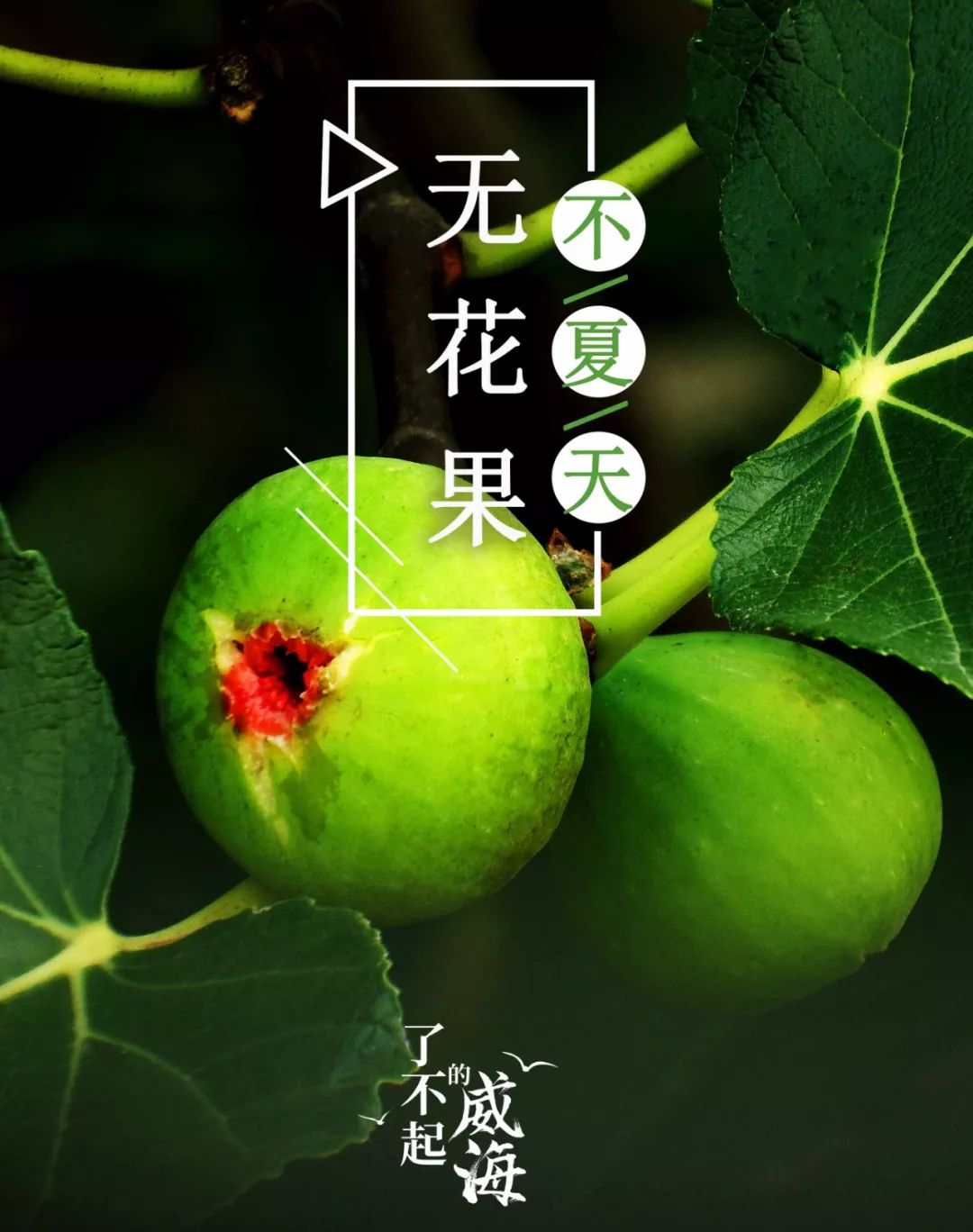 浜嗕笉璧风殑濞佹捣,浜嗕笉璧风殑濞佹捣浠婃棩澶存潯