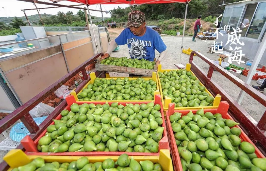 浜嗕笉璧风殑濞佹捣,浜嗕笉璧风殑濞佹捣浠婃棩澶存潯