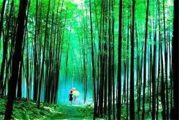 神灵寨给你普及夏季旅行安全隐患小常识