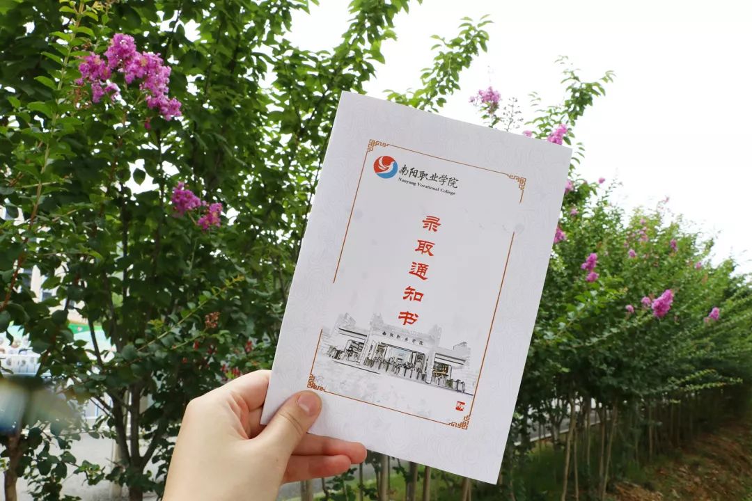 河南高校花式录取通知书,大学录取通知书河南省