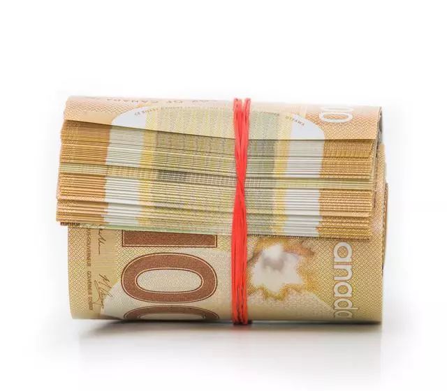 加拿大入境带干枣要申报吗,加拿大海关最新入境携带物品规定