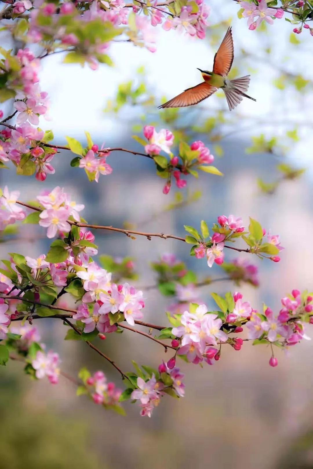 潍坊月亮湾,潍坊漂亮夜景