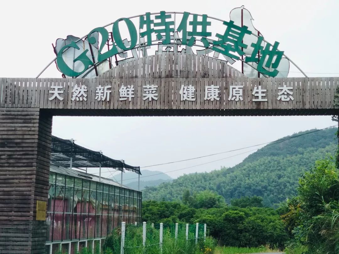 欢乐暑假成人游乐园,童玩节亲子游