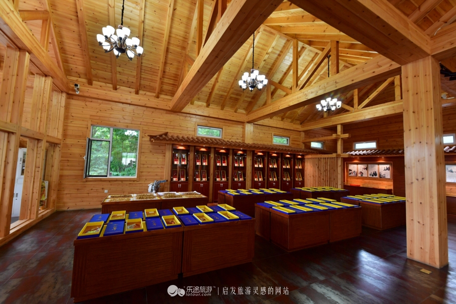 云岭深山自然美景,云岭野山参风景旅游区