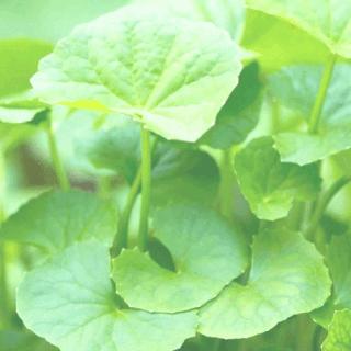 舒敏成分是什么,舒敏大牌护肤品推荐