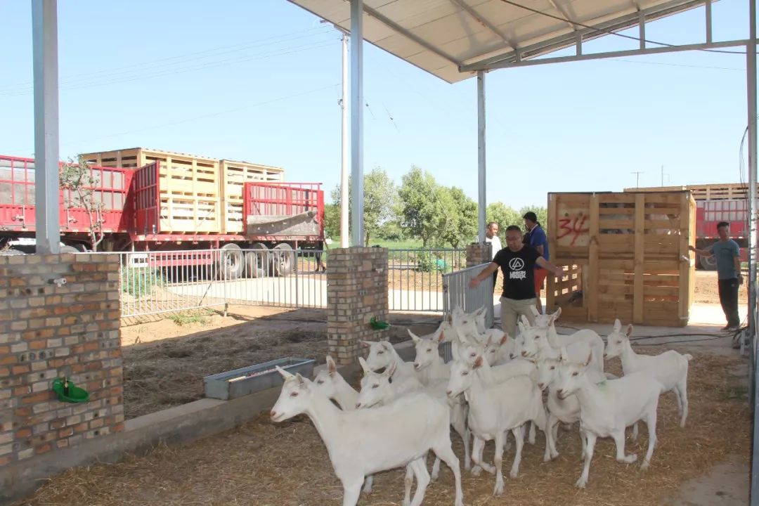 cbme母婴展会2021,cbme母婴展2024