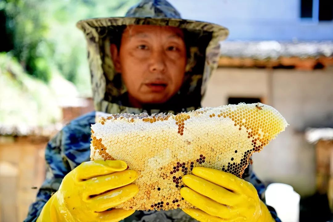 铅山天柱山:山中木桶成“绿色提款机”