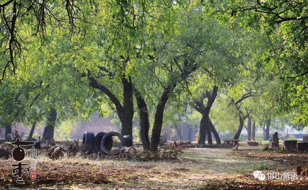 一分钟了解邯郸邯山区,邯郸邯山区介绍