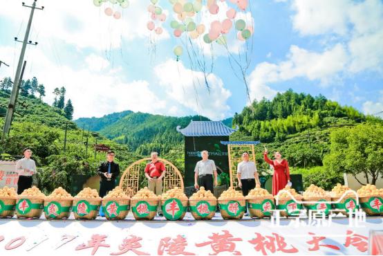 炎陵黄桃品牌大全,炎陵黄桃品牌