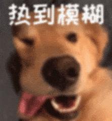 秀山高温预警,秀山何时降温