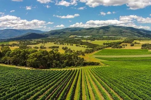 云山彼端之情迷瑞士6日游,瑞士25日游