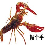 现场测试洗小龙虾,小龙虾抽检完整视频