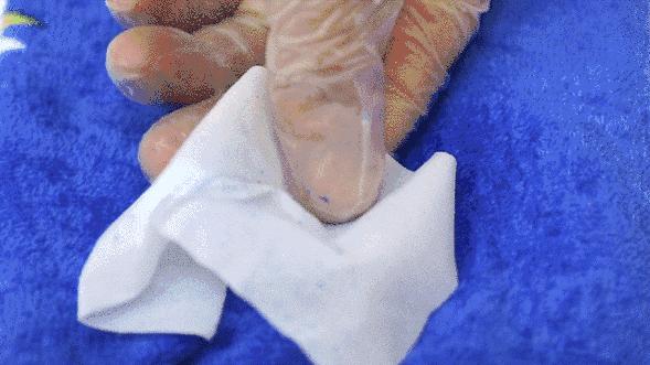 买送|用大豆做的毛巾，速干、柔软、防霉、防臭