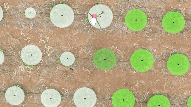 农业无人机超越欧美日本,日本农业无人机