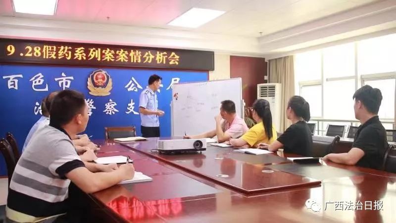 百色苗药假药案件,广西百色销售假药案