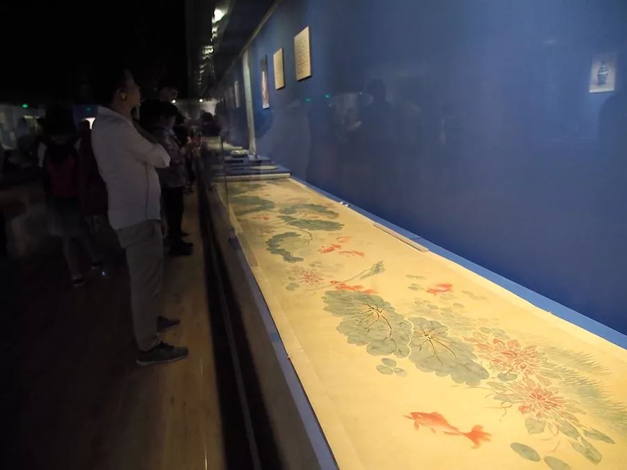 100条金鱼全部视频,100条金鱼视频