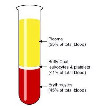 外周血细胞形态分析能查出什么病,外周血细胞形态能看出白血病吗