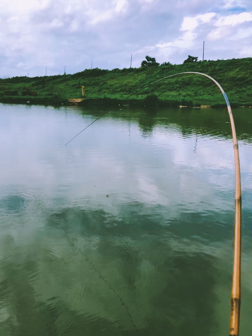 钓鱼装备全套小型鱼竿推荐,私人订制鱼竿路亚