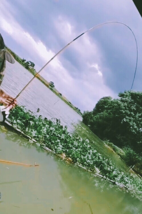 钓鱼装备全套小型鱼竿推荐,私人订制鱼竿路亚