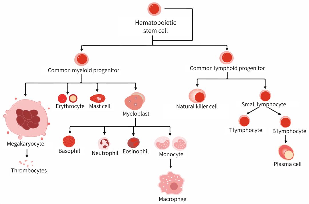 疫情当前我们需要冷静思考,疫情当下我们要多读书