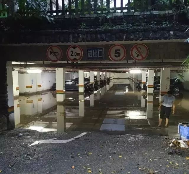 保时捷打人女最新处理,保时捷打人女车主照片曝光