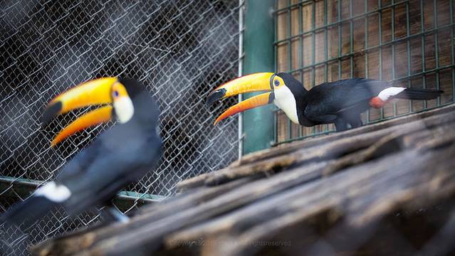 近七天游三亚,海南轻松游