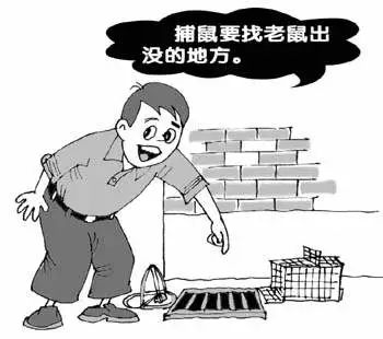 过街老鼠人人喊打的目的,创卫进行时健康素养66条