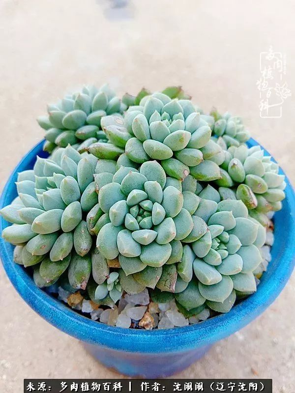 心若向阳无惧晴天,心若向阳不畏风雨