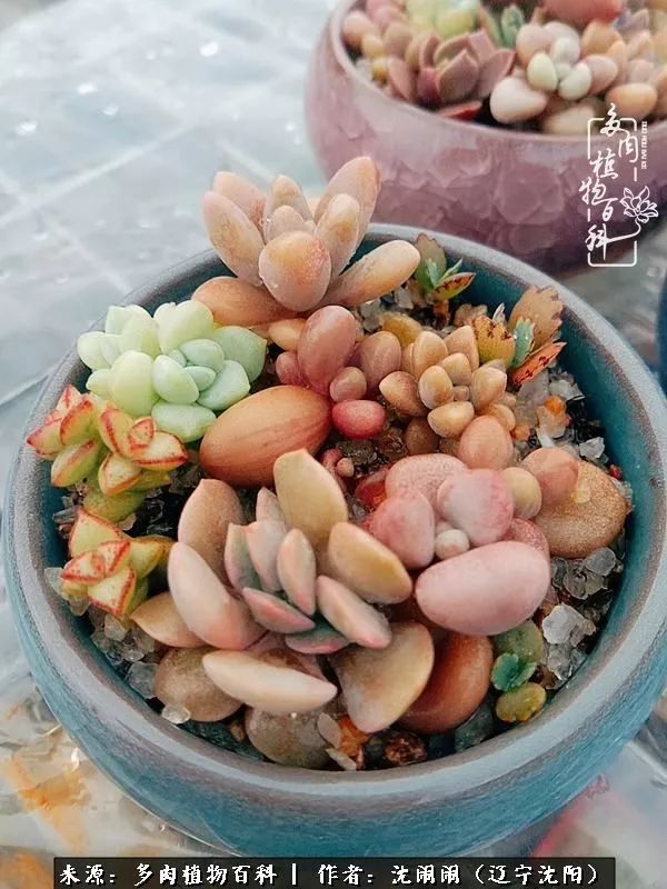 心若向阳无惧晴天,心若向阳不畏风雨