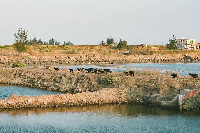 中国大陆最南端湛江旅行攻略,中国大陆最南端湛江景点