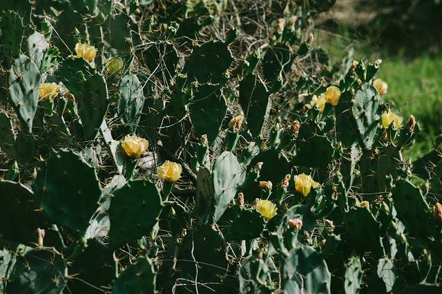 大陆之南,粤西越美,被旅行者忽略的处女地——雷州半岛