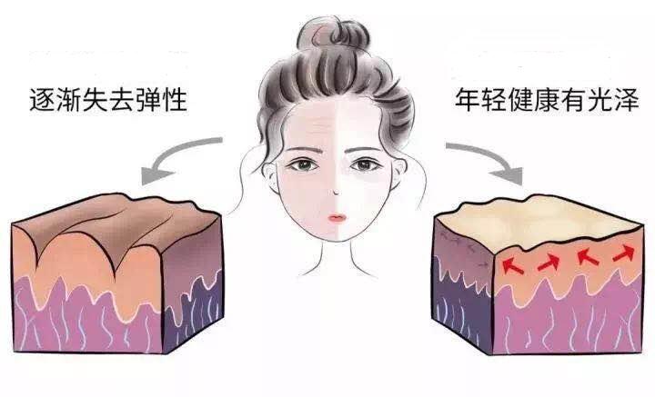 dhc辅酶q10,dhc辅酶q10洗面奶