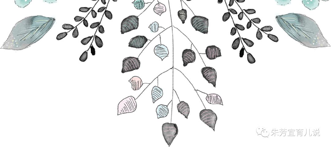 朱老师零基础教学,朱老师开课啦完整视频