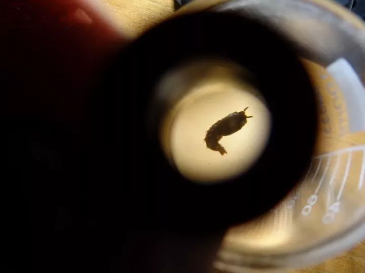 一次沉痛的教训,一次惨痛的血的教训