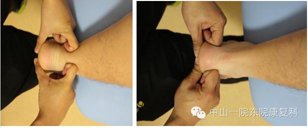 筋膜的康复训练方法,12条筋膜链解析及治疗手法