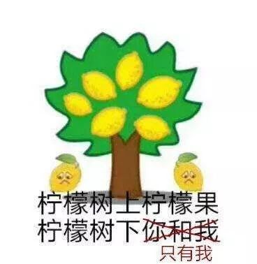电子结婚证刷脸可领取,刷脸领证电子结婚证上线了