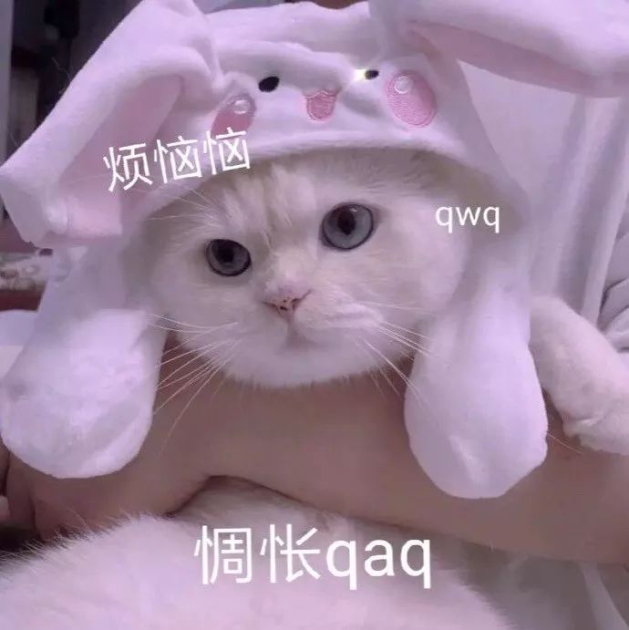 倪妮的同款帆布鞋,倪妮机场同款鞋