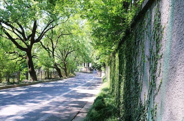 上海松江9号线路名,松江话讲松江历史