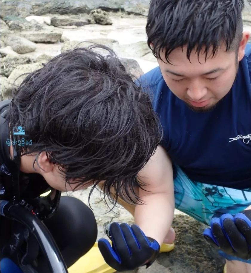 2019年我大学毕业后在日本开个海水店