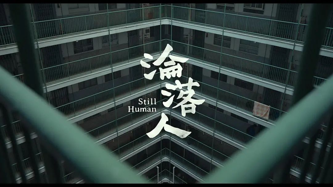 这个时候看《沦落人》，可真是百感交集啊